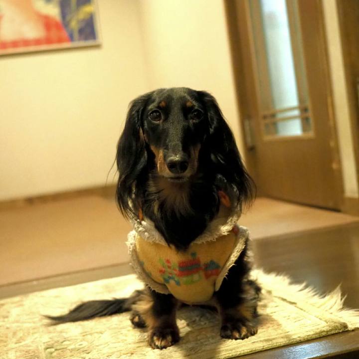 908f4118 580a 432c 9c80 9c51408ee6e3 1548929254894