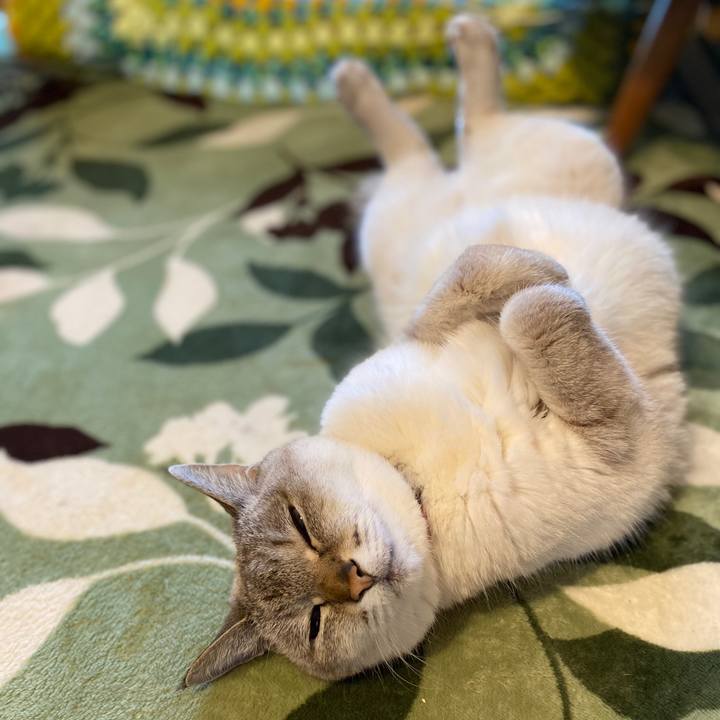 908f841a 85b1 47e2 a3df 7b17af994b34 1589931843775