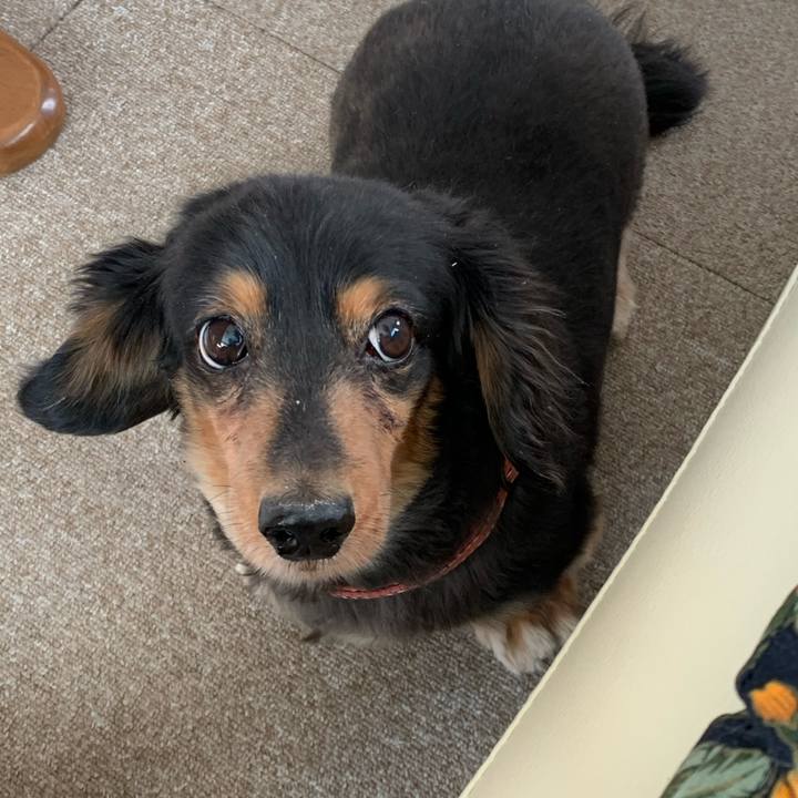 908f9201 7990 4005 8df7 f3597cee2e45 1586555775555