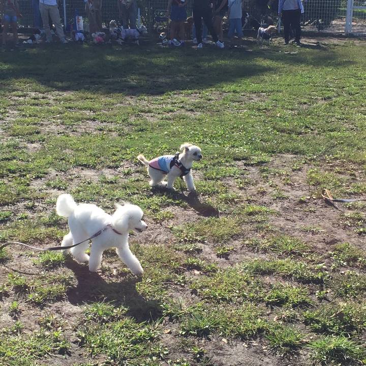 908f9b8b 0edd 49ef 8912 6ad98e9c591e 1538816019377