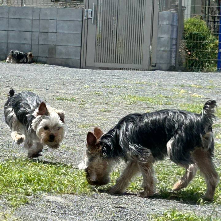 908f9f0d ace8 4454 9003 1f847bf9928b 1746423762211