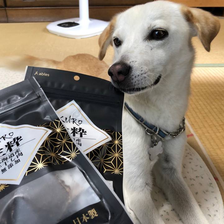 908fda40 308f 45e1 88ff 6e37166e4c4e 1629098228799