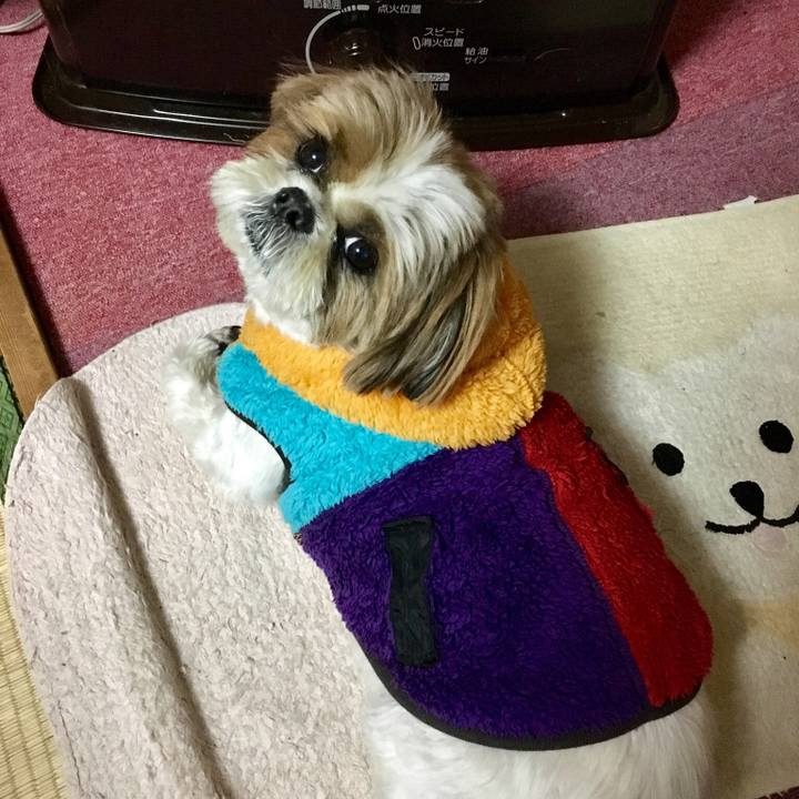 9090007a b8e5 4876 9efd 24b5a35c9345 1514685065502