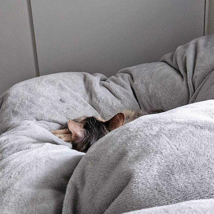 90902fe9 2a16 4d8c bac3 25b575985b52 1739838099652