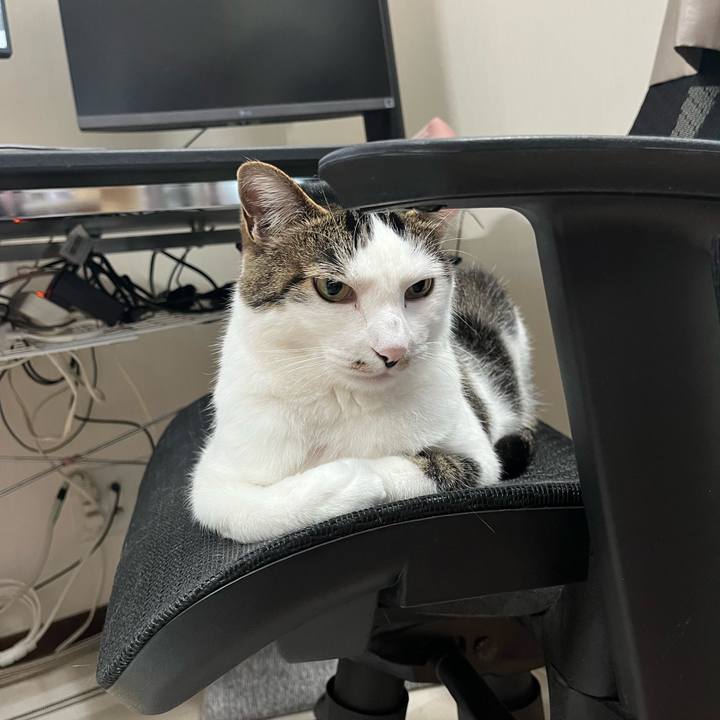 90903fcf d983 4709 b1cc 90ed15040be2 1716205857124