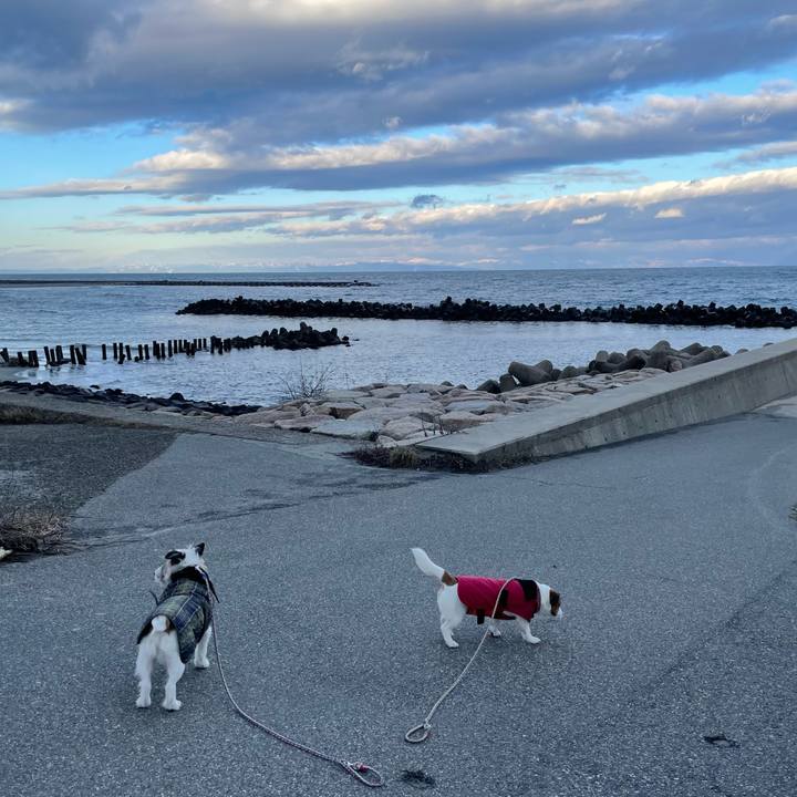 90904169 96b7 45e2 ab95 ea2ed7e09a96 1675556101607