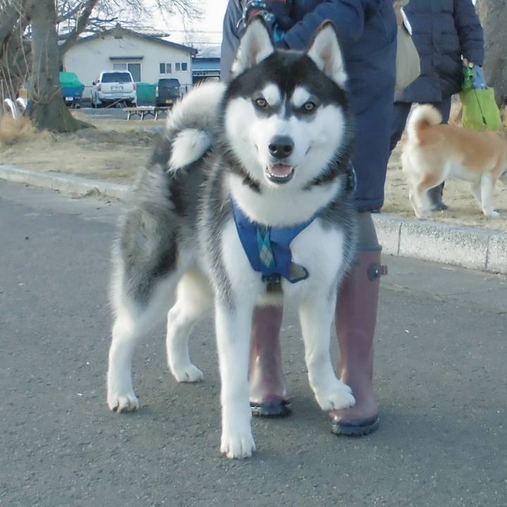 9090c1bd fb6a 4d9a 89e5 314a0cc7265e 1518605460706