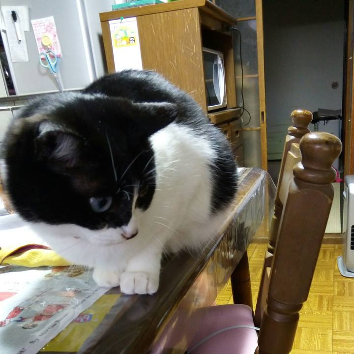 9090f6f3 b14f 4ecd a0b4 7ae1aa923689 1523525038119