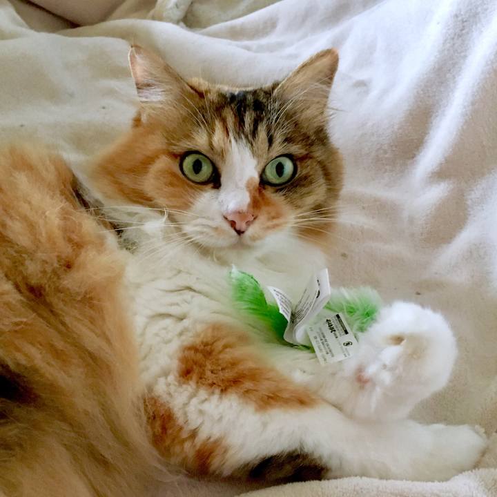 9090fec0 8c12 4937 b98b a265cada1989 1567394946843