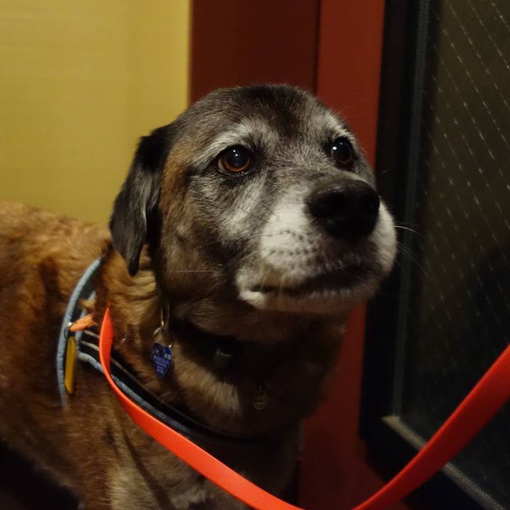 90910126 03ee 4662 975d 6a78af0390dd 1650933969484