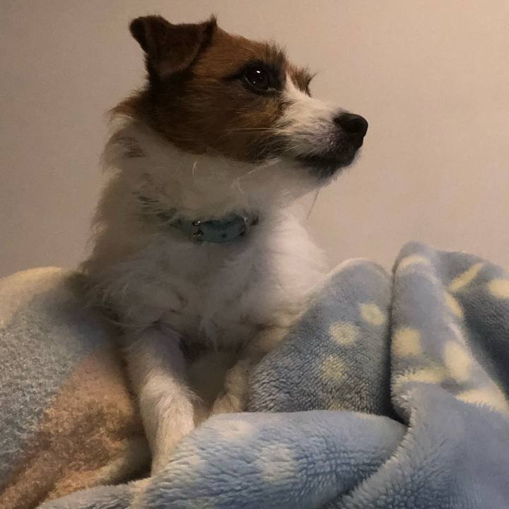 909116b9 7df8 4539 a1d0 5a628e5c8a0f 1579013974315