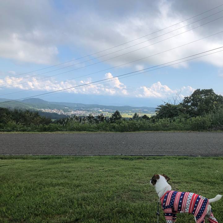 90911c24 6833 4e40 8ac4 f2aaab7d3afb 1568111721826