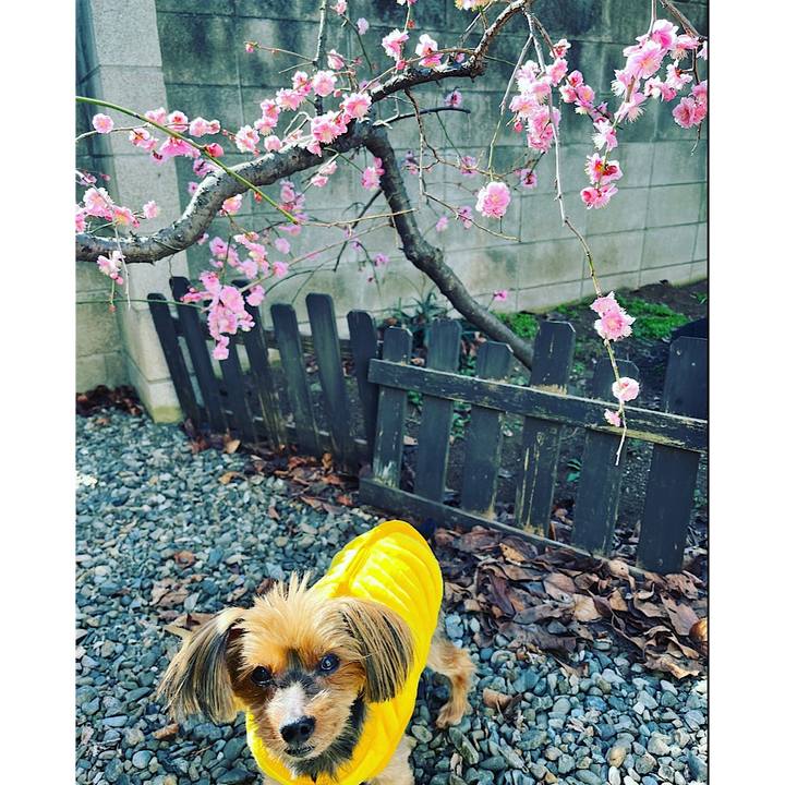 90912527 c591 4e56 a3dd 33453e7a9b1c 1677547684396