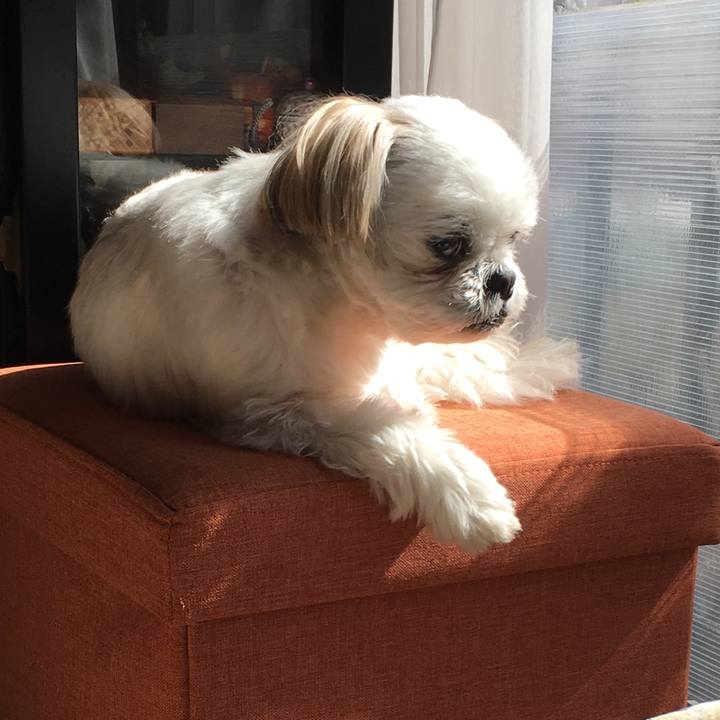 909144e7 8a97 451a 8eaa 3b8f77854123 1550292019521