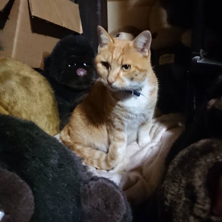 909157e0 3c48 46f3 abfb 624d436aeaad 1605262924834