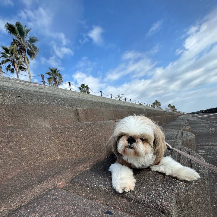 90917256 35ca 400a b5bb ce16d004cc2e 1762590566759