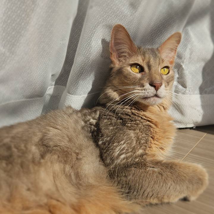 9091732e 2fd8 492b b232 bada470448ae 1770964684444