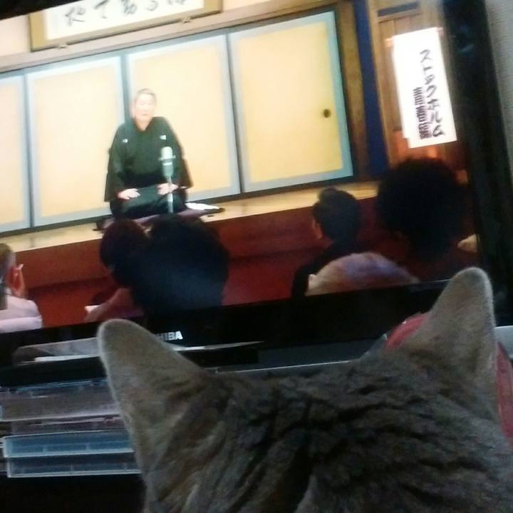 90917e75 e833 4fca ad60 b8df8bdd00d7 1552823802615