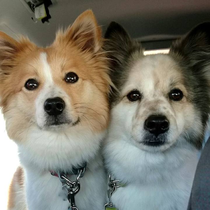 90919474 3c32 4943 8cdd 78d021682644 1520765404626