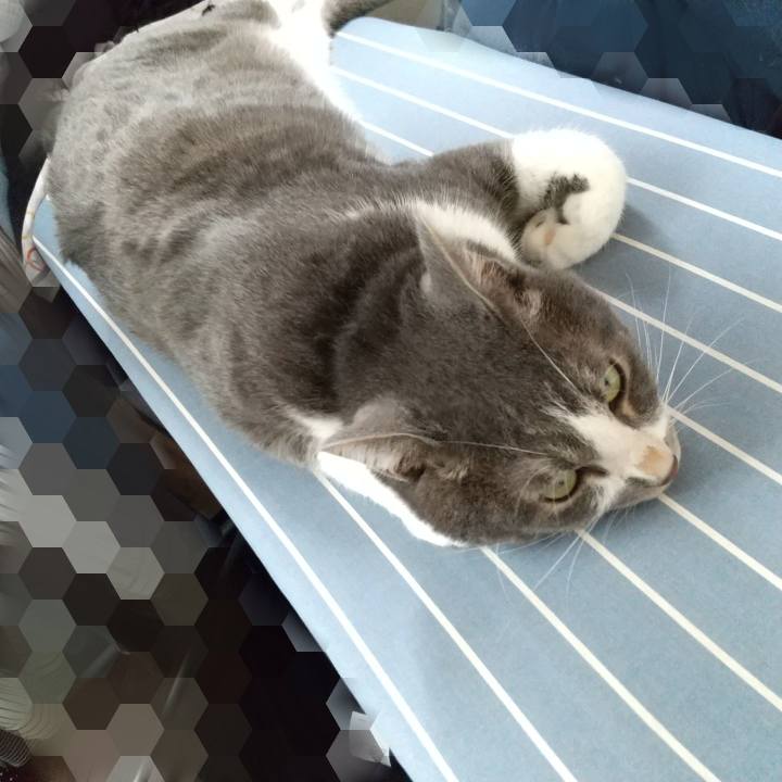 909196fc 8209 4176 a47a 4b5ed62a012b 1630379591190