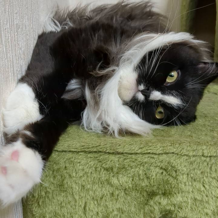 9091acc9 d575 432c 89d1 132654b8901a 1666524421770