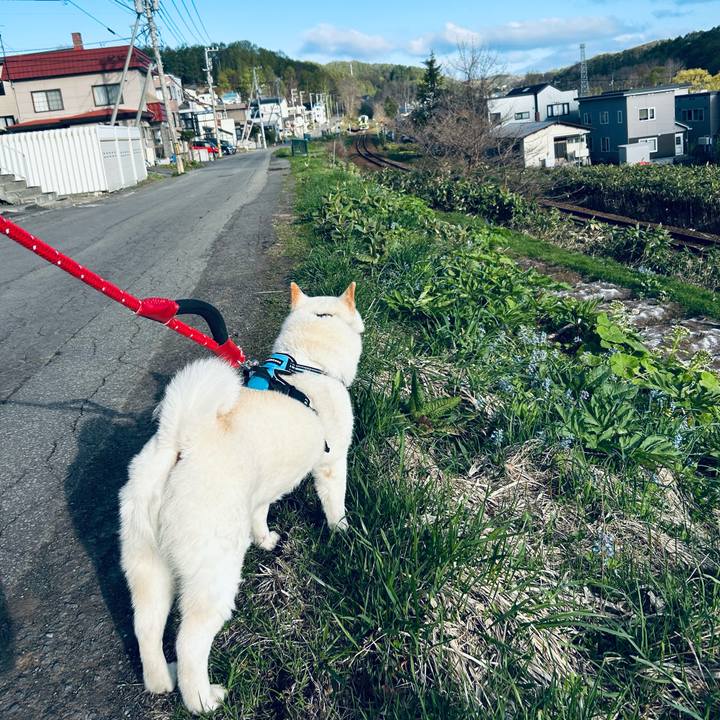 9091b365 0a4e 421c aedd f9f42371bd41 1682979598507