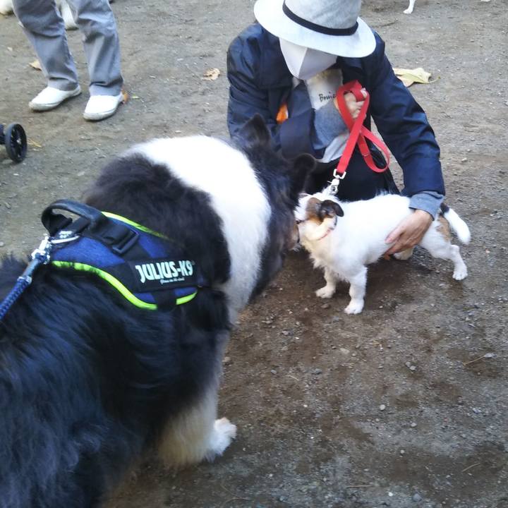 9091c5c8 4ae9 4da8 8f5d ae5d8d87b84c 1606568842610