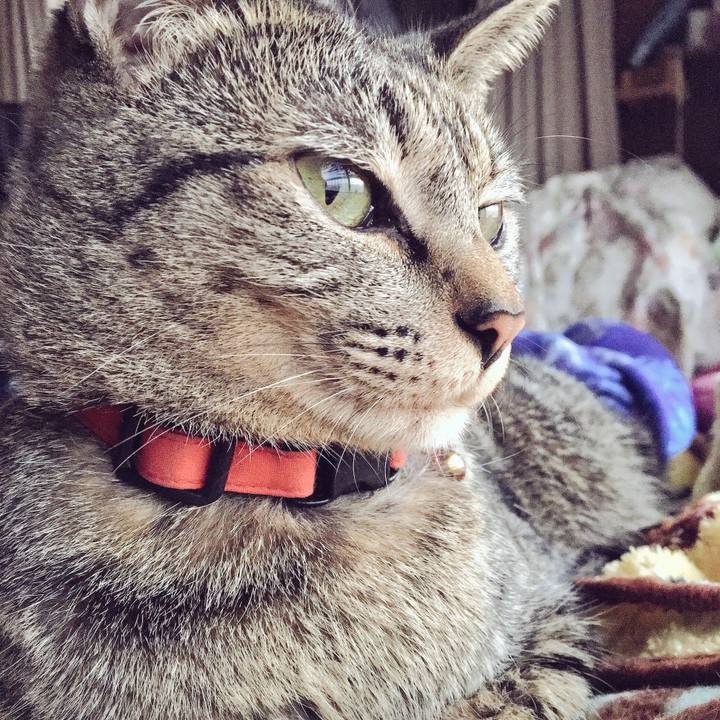 9091e1ae b428 402a a4b4 fc887d668a07 1510309689087