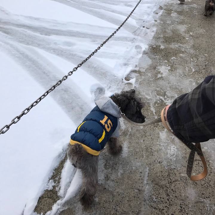 9091eb8b f2f7 4142 a6c4 3e284cc21e47 1515929647470