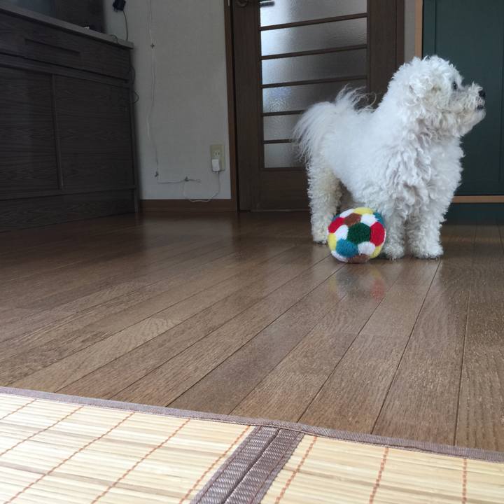 90923e9a 582b 4ad3 a31b 3b17cfdcd754 1530055037760