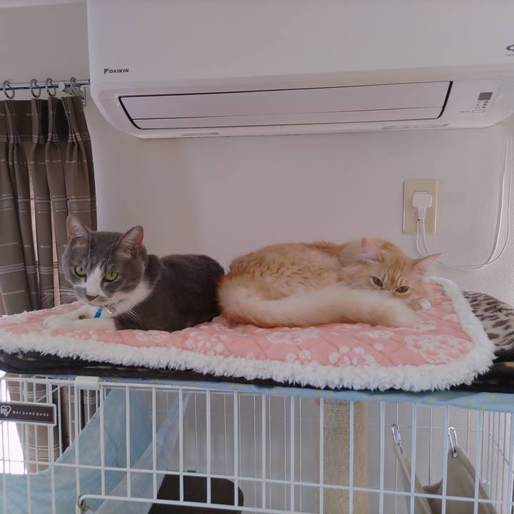 90927274 c05e 4278 87f8 e5c8d898658a 1699164924163