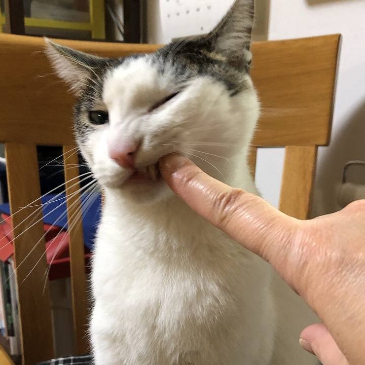 90928f20 57ae 44ef 83d5 754a88cd4f44 1639580412336