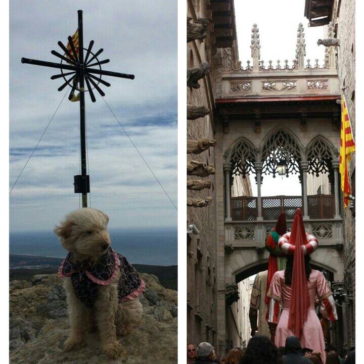 9092e98a a1c3 4eb0 ae67 51328d83c801 1550088915417