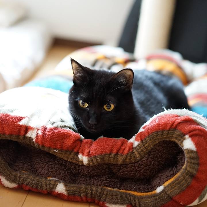 90930617 b8a7 45a4 8b53 d7dc126cc69d 1552262034759