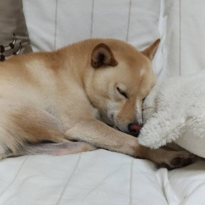 90932c9a 7b85 4c9e b6f9 00b1d142de0f 1570709441655