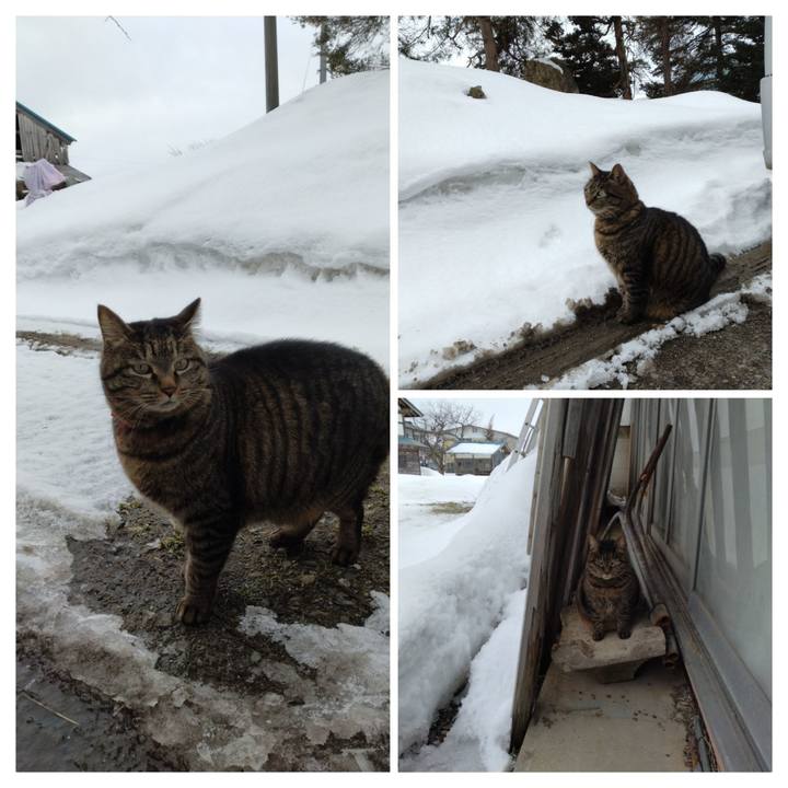 909363e5 d74b 455e b995 8d0dcfc49c91 1677107684112