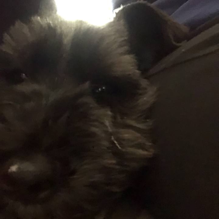 90937f4c 400c 4c8b 800d 01f2f80d05ae 1521945690603