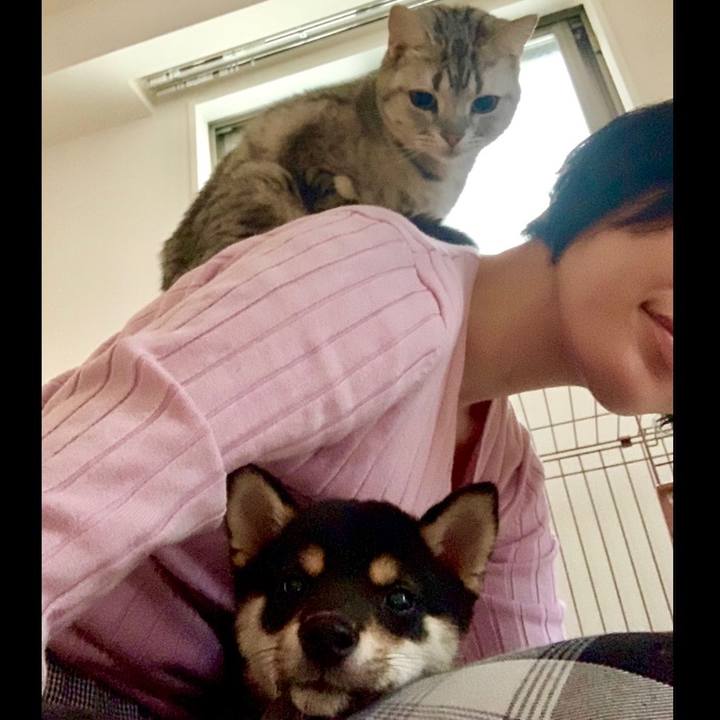 90939681 c169 416b 9cc9 31107119a978 1555915289105