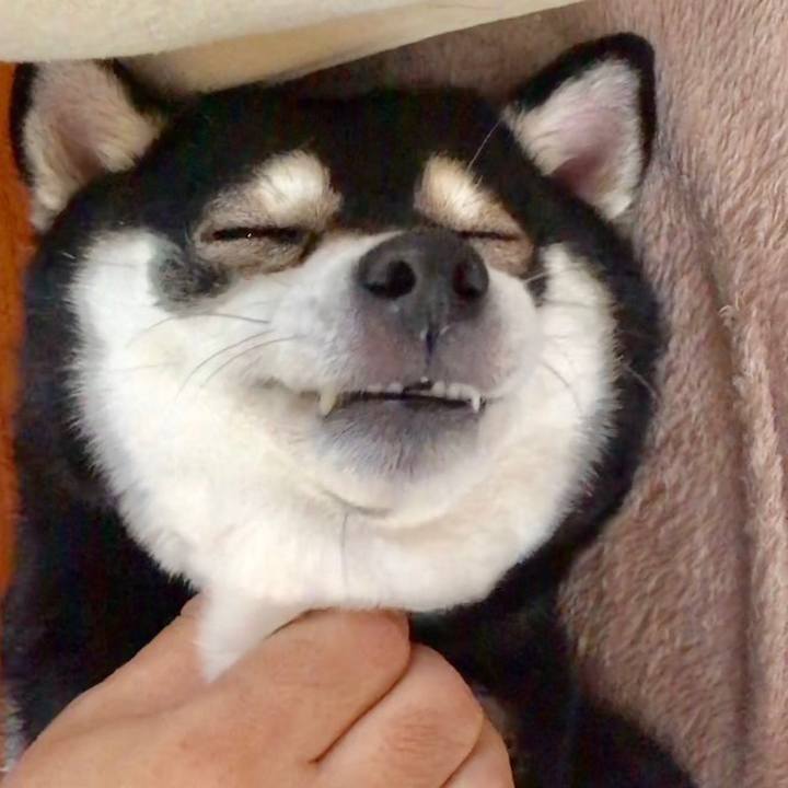 909396cb e46d 4b16 94ff 054843c1233b 1525695027517