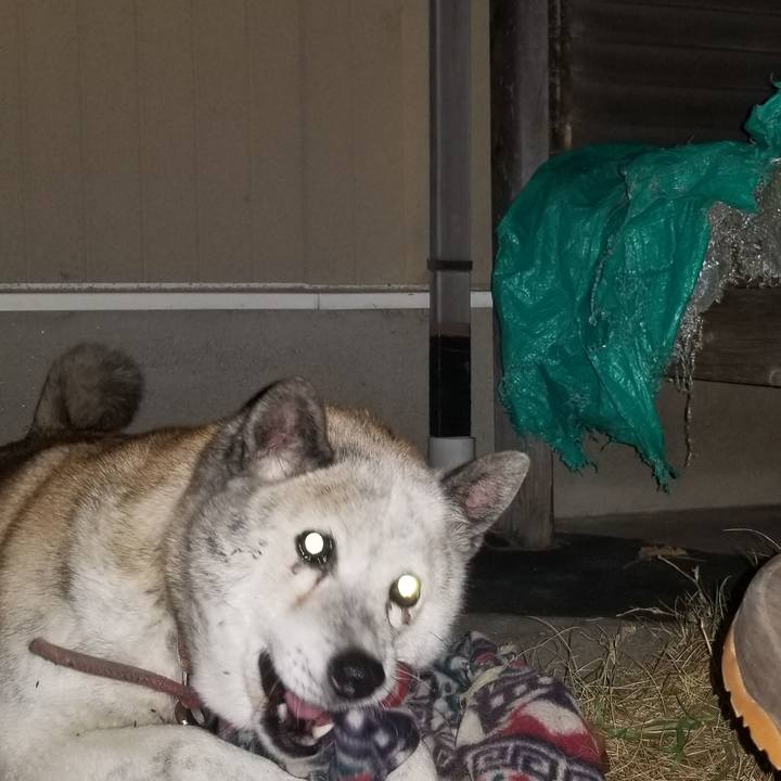 90939acd d811 48f2 8611 2bb7e8286426 1639995622529