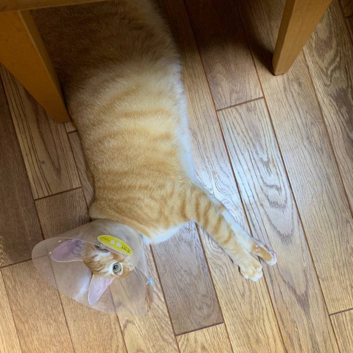 9093e0a4 c8e6 432c af67 180f7ea8ea70 1567574006883