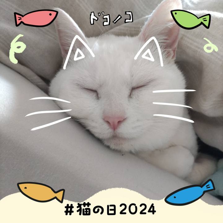 909426d1 c566 4f3f ad96 7dd0bc4cc5be 1708560385735
