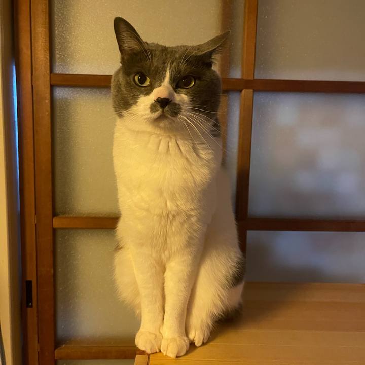 90944d17 1131 4396 83f8 f3da3fc1bf54 1740089621537