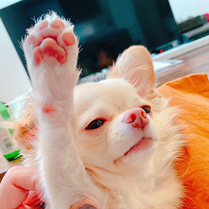 90947359 1ea7 46a8 aa4d f8009124c72d 1636708553925