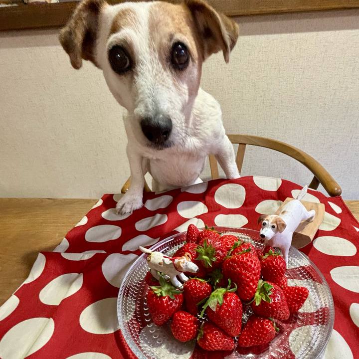 9094b332 b1a7 4186 bfd2 373d451d9821 1769776470446