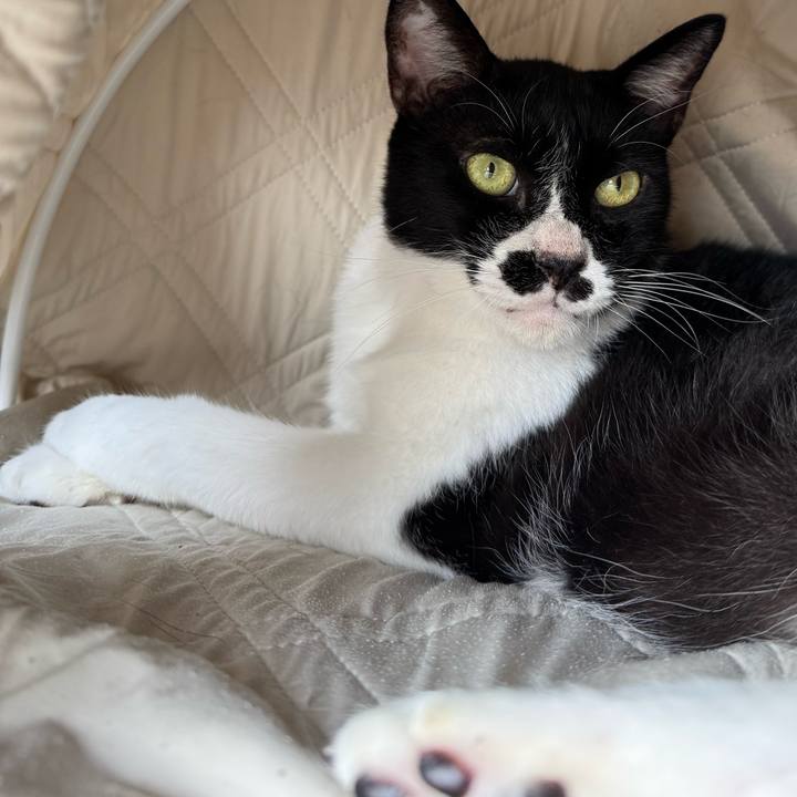 9094c0e5 ebb1 41ff b26a 982fb7ef375c 1754472865280