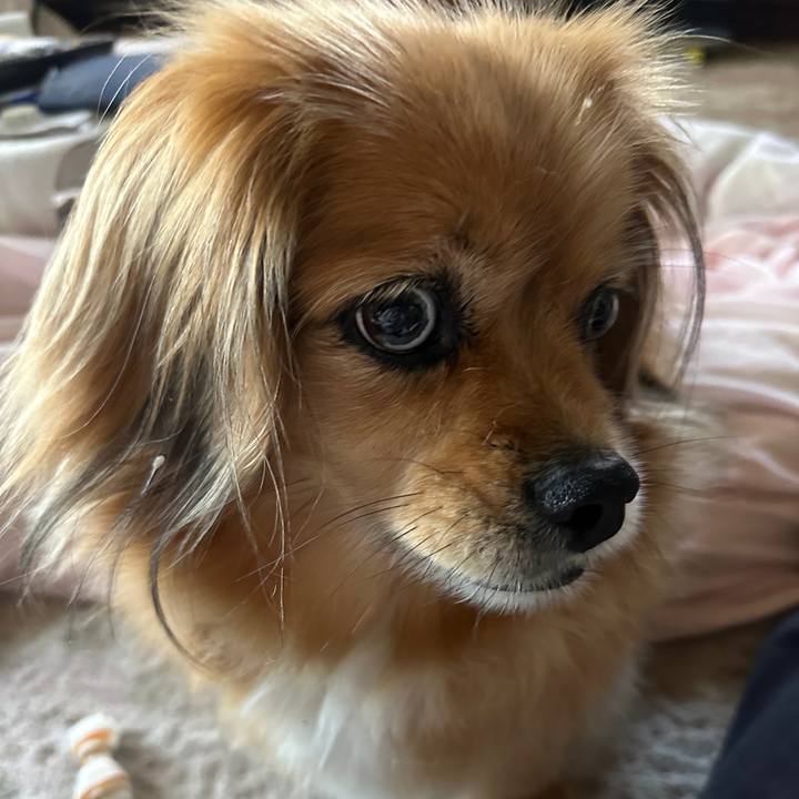 909575c6 8c65 42ec 962c f027b0593bc8 1718224755891