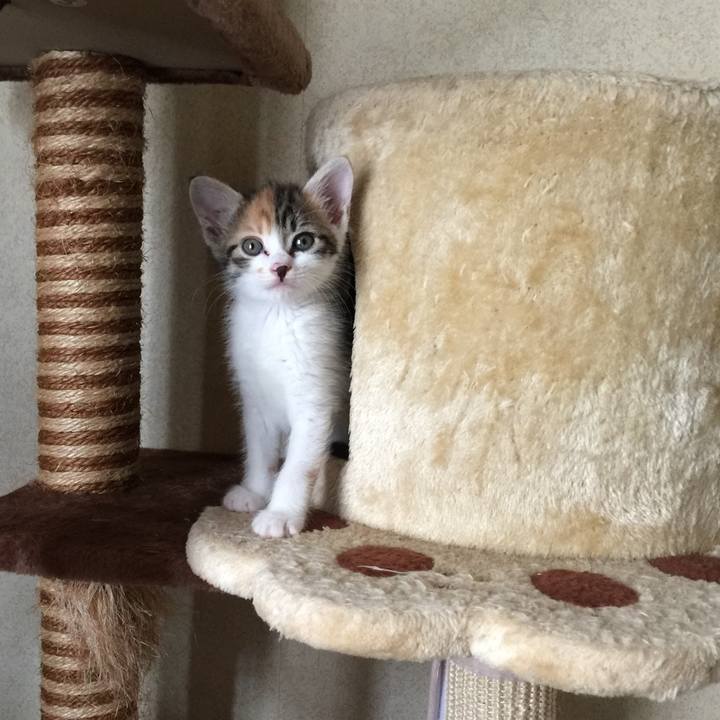 9095a619 3524 4103 a7f1 e708cad2bd4d 1694869079367