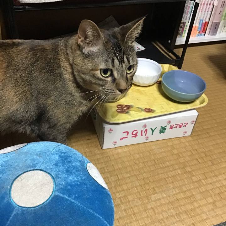 9095bd75 e7a7 4d3f be30 b809b71446ee 1638091718075