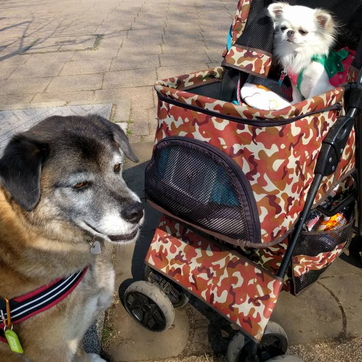 9095e57e 2f50 4ad5 9329 f410465836f0 1522198778649